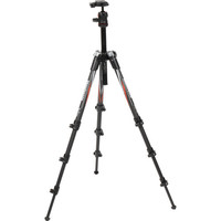 Штатив Manfrotto MKBFRC4-BH Befree Carbon Fiber with Ball Head